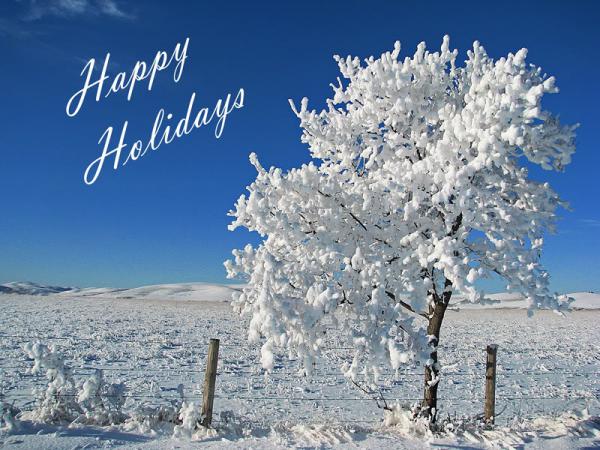 Happy Holidays